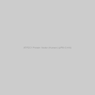ATP2C1 Protein Vector (Human) (pPM-C-HA)